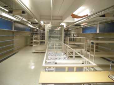 相片: 出售 大厦 1,000 m2