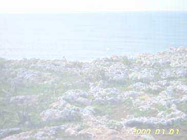 相片: 出售 土地 24,000 m2