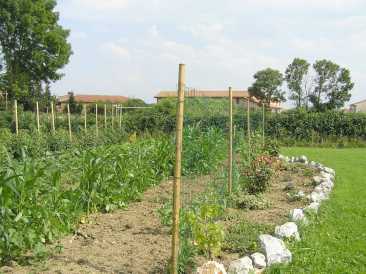 相片: 出售 土地 1,250 m2