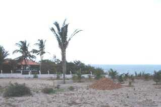 相片: 出售 土地 50,120 m2