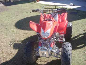 相片: 出售 脚踏车, minibikes 200 cc - WARRIOS - 200CCC