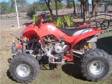 相片: 出售 脚踏车, minibikes 200 cc - WARRIOS - 200CCC