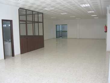 相片: 租 其他人 250 m2