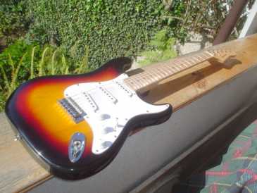 相片: 出售 吉他和其它弦乐器 FREEMAN - STRATOCASTER