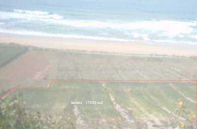 相片: 出售 土地 11,000 m2