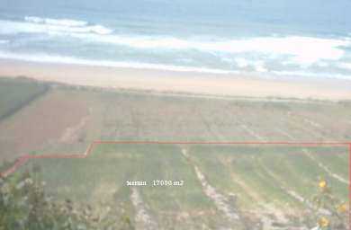 相片: 出售 土地 17,000 m2