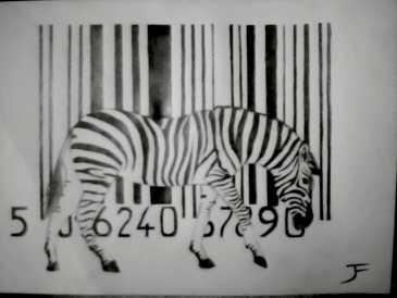 相片: 出售 绘画和图画 ZEBRE