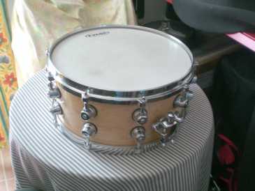 相片: 出售 吉他和其它弦乐器 PEARL EXPORT SERIES - PEARL EXPORT SERIES