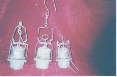 相片: 出售 其它对象 IDEALS DECORATIONS