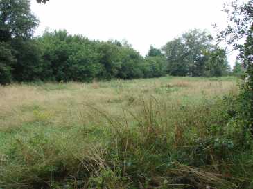 相片: 出售 土地 4,381 m2