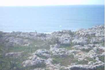 相片: 出售 土地 24,000 m2