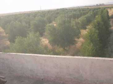 相片: 出售 土地 10,000 m2