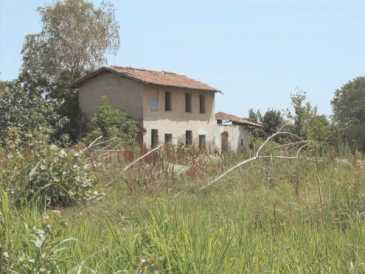相片: 出售 农场 180 m2