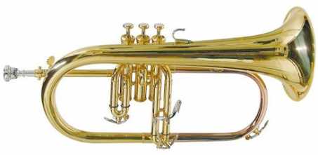 相片: 出售 黄铜、woodwind 和其它管乐器 MAHILLON - SERIE 3000