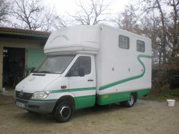相片: 出售 飞机, ULM 和直升机 MERCEDES - 416 CDI