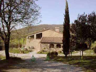 相片: 出售 农场 650 m2
