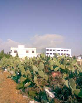 相片: 出售 土地 8,000 m2