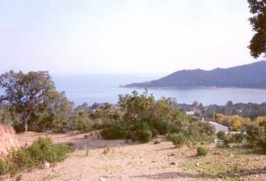 相片: 出售 土地 56,356 m2