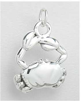 相片: 出售 珠宝 妇女 - PENDENTIF CANCER CRABE ARGENT 30,00EUR - PENDENTIF CANCER EN ARGENT + CHAINE OFFERTE
