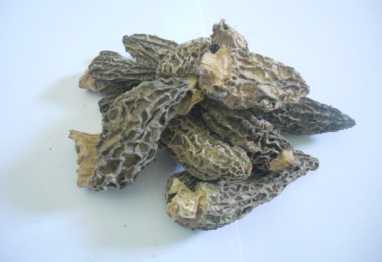 相片: 出售 其他人 MORILLES