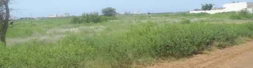 相片: 出售 土地 800 m2