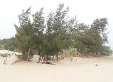 相片: 出售 平房 1,000 m2