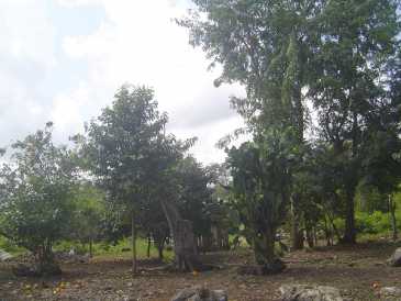 相片: 出售 土地 1,250 m2