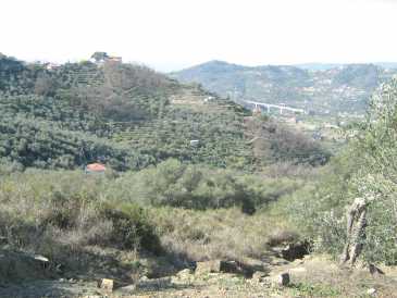 相片: 出售 土地 5,000 m2