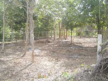 相片: 出售 土地 1,000 m2
