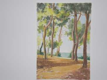 相片: 出售 绘画和图画 PINI MARITTIMI A FRANCAVILLA AL MARE