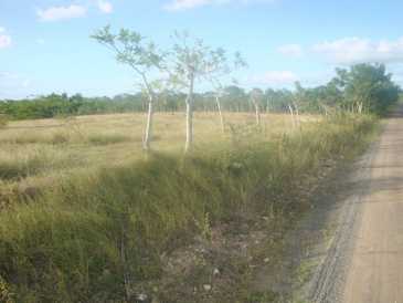相片: 出售 土地 50 m2