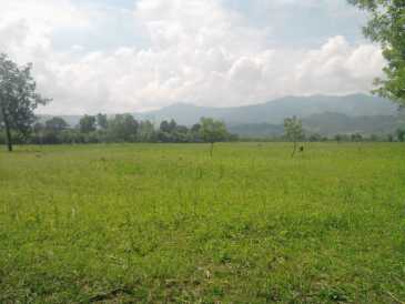相片: 出售 土地 230,000 m2