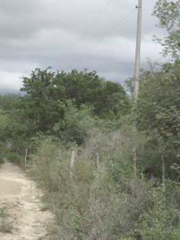 相片: 出售 土地 53,600 m2