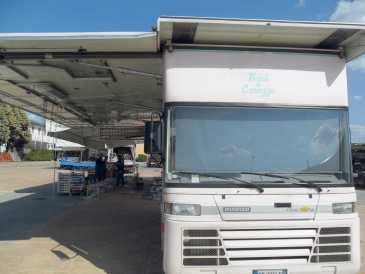 相片: 出售 卡车和公共事业 IVECO - TOP 54