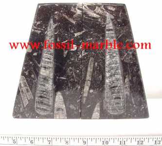 相片: 出售 装饰 BOOKENDS FOSSILS AND FOSSILIZED MARBLE RISSANI - BOOKENDS FOSSILS AND FOSSILIZED MARBLE ERFOUD