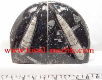 相片: 出售 装饰 BOOKENDS FOSSILS AND FOSSILIZED MARBLE RISSANI - BOOKENDS FOSSILS AND FOSSILIZED MARBLE ERFOUD