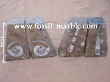 相片: 出售 装饰 BOOKENDS FOSSILS AND FOSSILIZED MARBLE RISSANI - BOOKENDS FOSSILS AND FOSSILIZED MARBLE ERFOUD