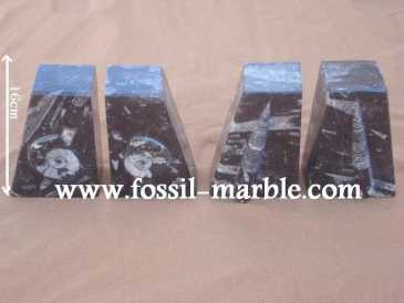 相片: 出售 装饰 BOOKENDS FOSSILS AND FOSSILIZED MARBLE RISSANI - BOOKENDS FOSSILS AND FOSSILIZED MARBLE ERFOUD