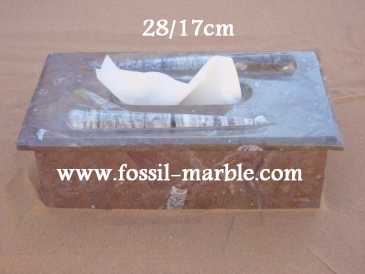 相片: 出售 装饰 BOITE EN MARBRE FOSSILISE AVEC NATURAL FOSSILS - BOITE EN MARBRE FOSSILISE AVEC NATURAL FOSSILES