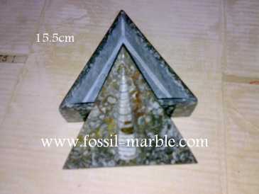 相片: 出售 装饰 BOITE EN MARBRE FOSSILISE AVEC NATURAL FOSSILS - BOITE EN MARBRE FOSSILISE AVEC NATURAL FOSSILES