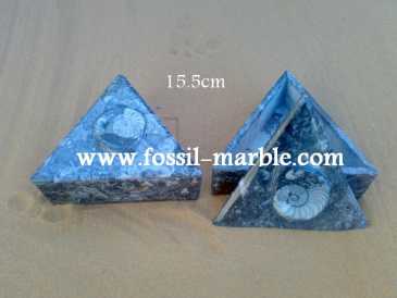 相片: 出售 装饰 BOITE EN MARBRE FOSSILISE AVEC NATURAL FOSSILS - BOITE EN MARBRE FOSSILISE AVEC NATURAL FOSSILES