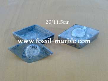 相片: 出售 装饰 BOITE EN MARBRE FOSSILISE AVEC NATURAL FOSSILS - BOITE EN MARBRE FOSSILISE AVEC NATURAL FOSSILES