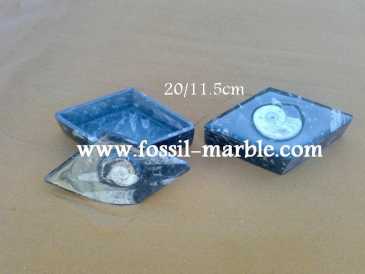 相片: 出售 装饰 BOITE EN MARBRE FOSSILISE AVEC NATURAL FOSSILS - BOITE EN MARBRE FOSSILISE AVEC NATURAL FOSSILES