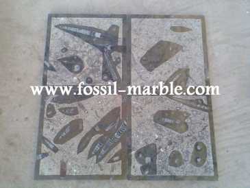 相片: 出售 装饰 SLAB FOSSILS - SLAB FOSSILS ERFOUD RISSANI