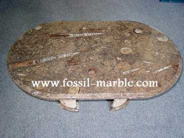相片: 出售 装饰 BROWN SLAB FOSSILS - BROWN SLAB FOSSILS MOROCCO