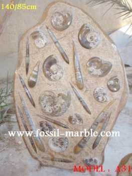 相片: 出售 装饰 PLAQUE EN NATURAL MARBRE FOSSILISE - PLAQUES EN MARBRE FOSSILISE