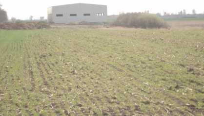 相片: 出售 土地 11,750 m2