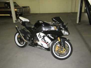 相片: 出售 摩托车 1000 cc - KAWASAKI - ZX 10 TOMCAT