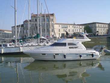 相片: 出售 小船 SEALINE 330 - STATESMAN 33
