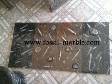 相片: 出售 装饰 BLACK SLAB FOSSILIZED MARBLE MOROCCO - BLACK FOSSILIZED MARBLE MOROCCO